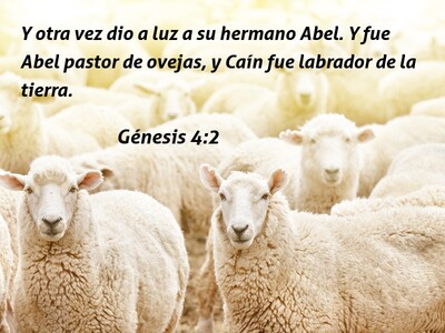 Génesis 4:2 Abel (blanco)